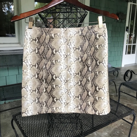 Wild Honey Faux Snakeskin Leather Skirt - Picture 1 of 5